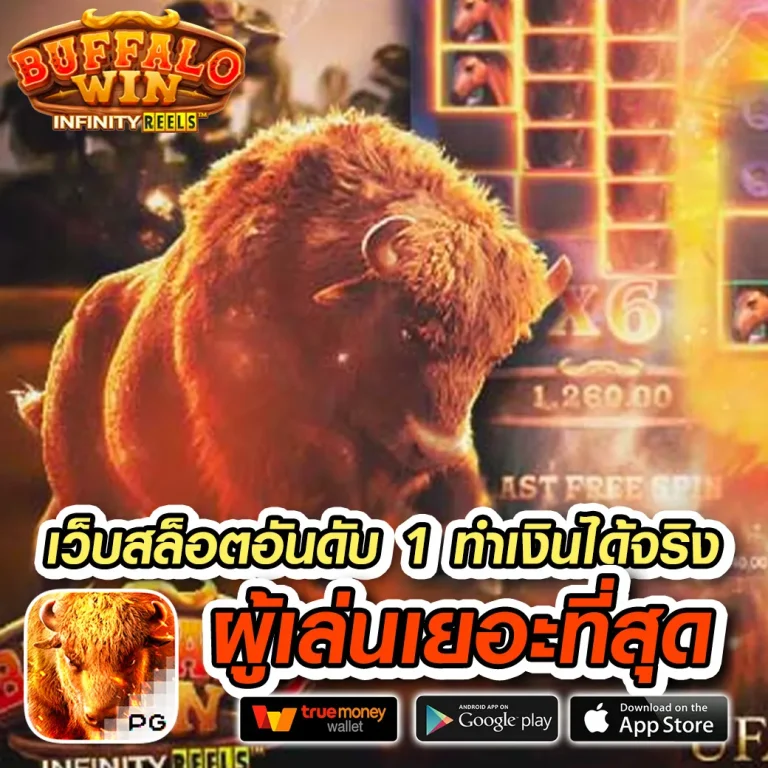 ajm1max ทางเข้า